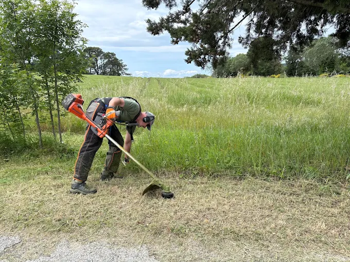 Débroussaillage en bordure de champ