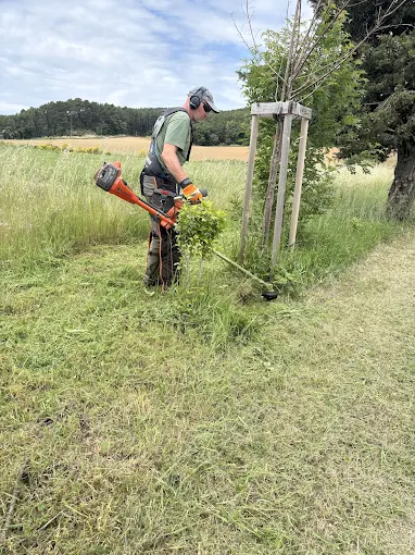 Débroussaillage près d'une clôture