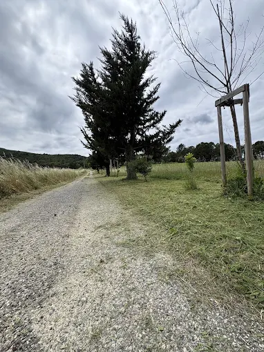 Chemin et abords de terrain entretenus